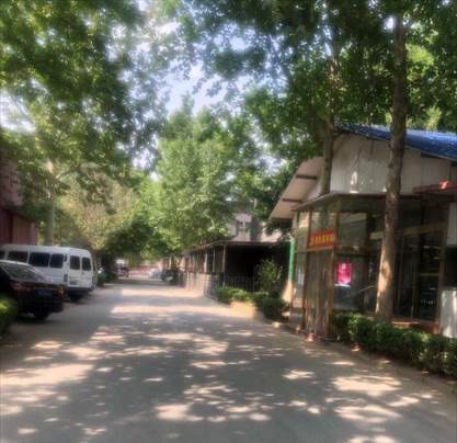 路上有一些房子和树